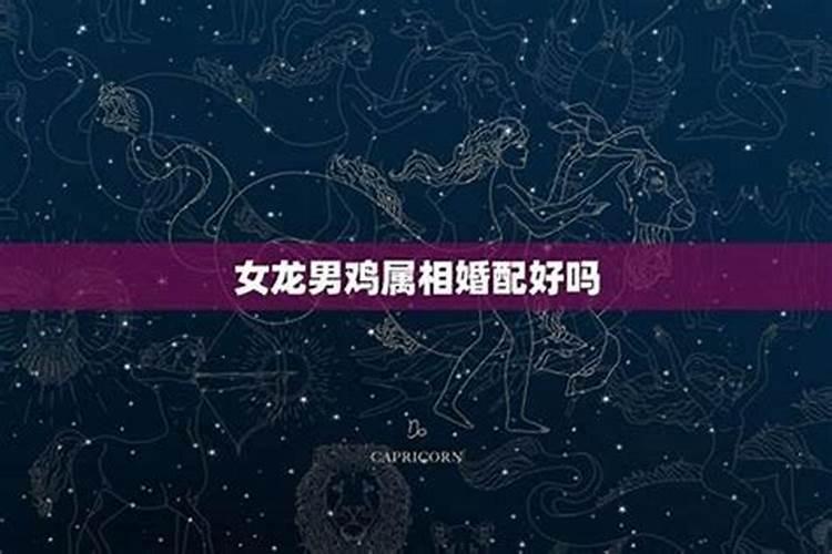 男龙女鸡