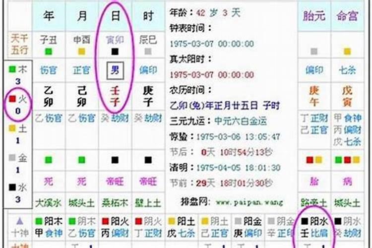 新坟清明节可以祭拜吗