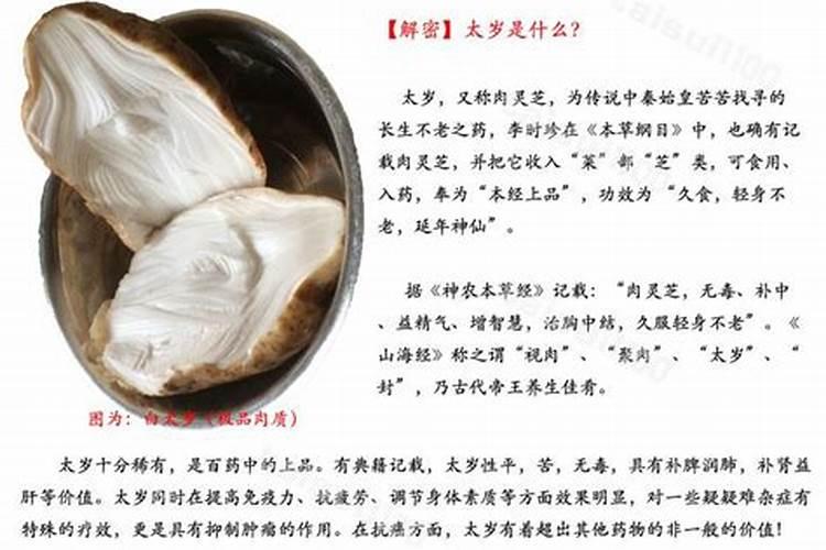 经常听到犯太岁的说法,到底太岁是个什么东西？
