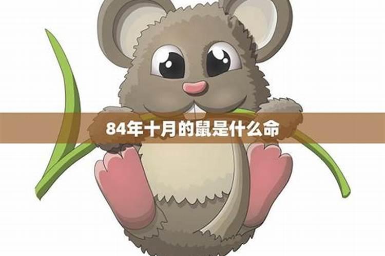 十月初一出生的女孩娘娘命吗婚姻解析