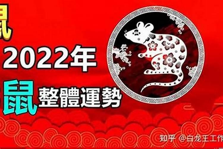 84年女鼠2025年属鼠人的全年运势