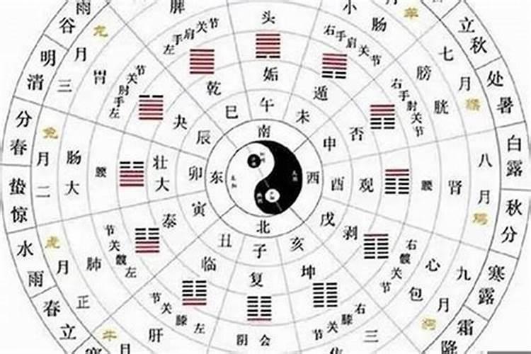 属虎2025年犯太岁吗