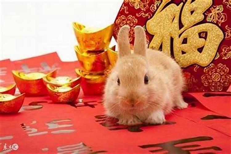 苦命兔75年中晚年运势 苦命兔75年中晚年命运如何？