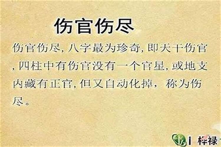 生辰八字上的财印官是什么意思