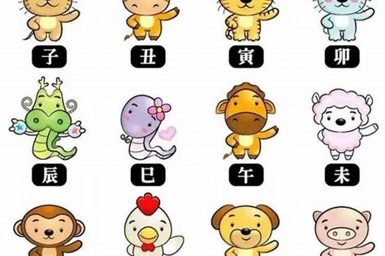 感觉运势不好的时候怎么转运