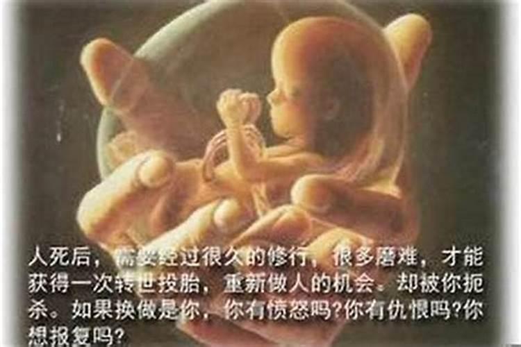 怎样为堕胎婴灵超度