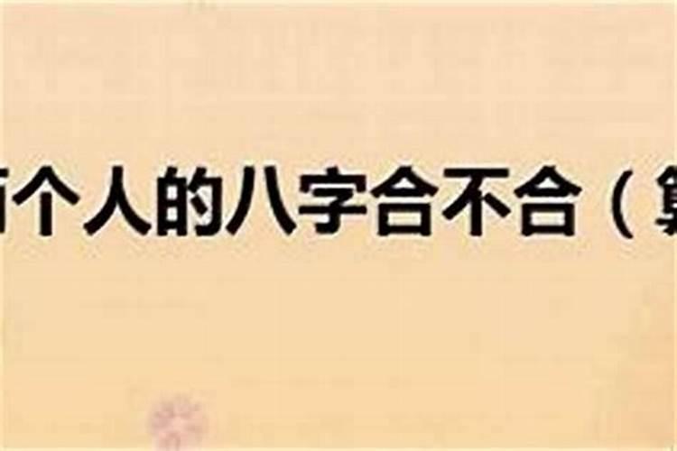 如何算两个人的八字合不合