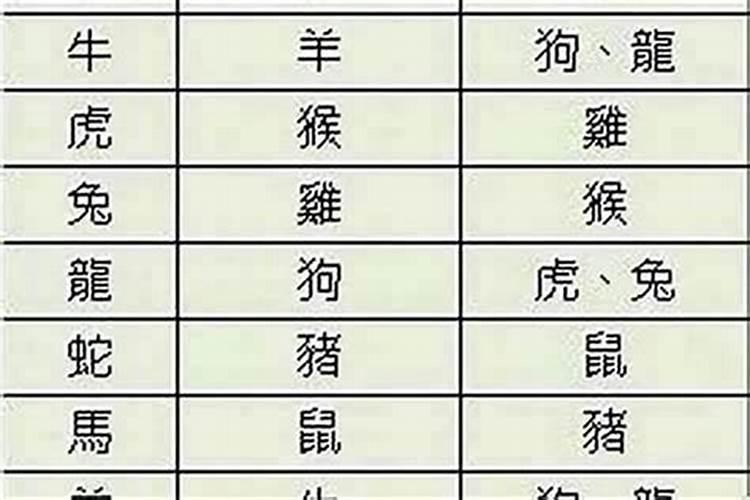 属鸡的男人和属猪女人结婚相配吗