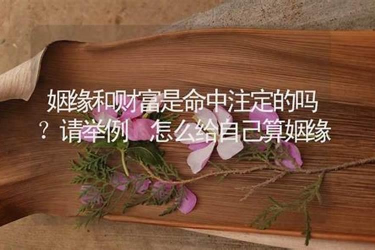 2025生肖兔87年运势