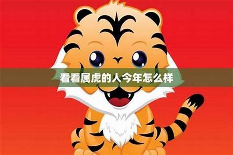 梦见蟒蛇是什么预兆周公解梦