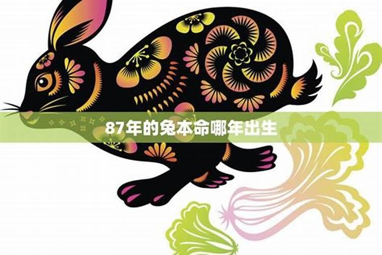 本命年结婚好吗, 我属兔,我老公属龙,想明年结婚