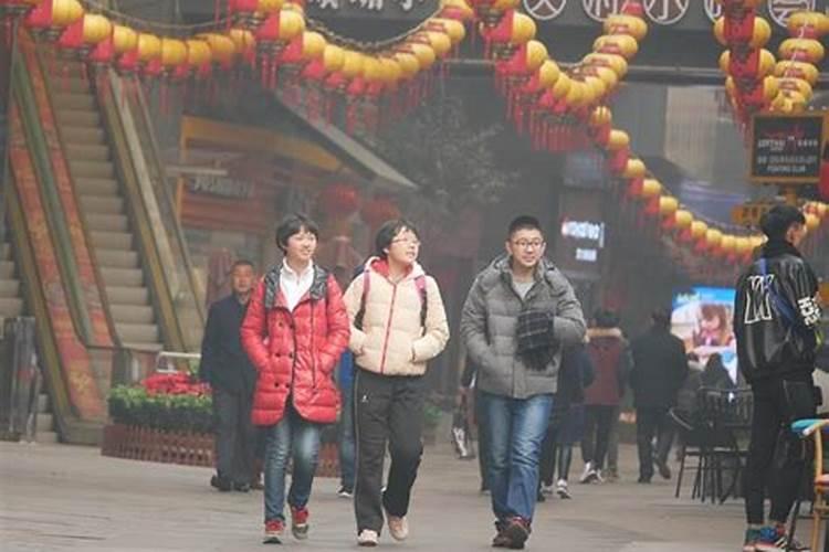 仙人掌放哪里防小人,不带仙人掌刺放办公室是最佳选择
