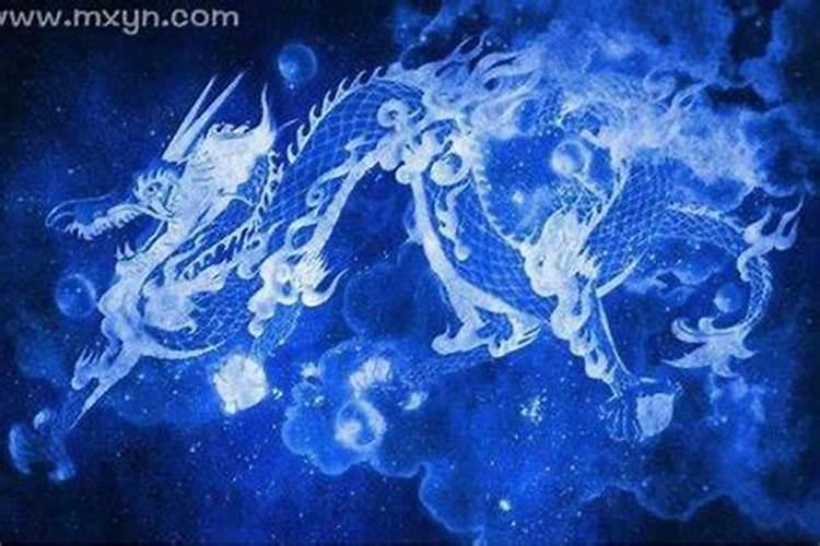 梦见两条龙在水里向我游来