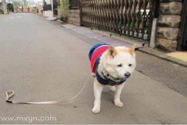 生辰八字是按什么 断定的？