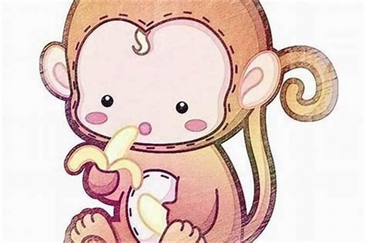 猴和狗的属相婚姻不相克 属于适合婚配的一对
