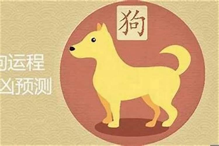 属狗的2017本命年运势详解？