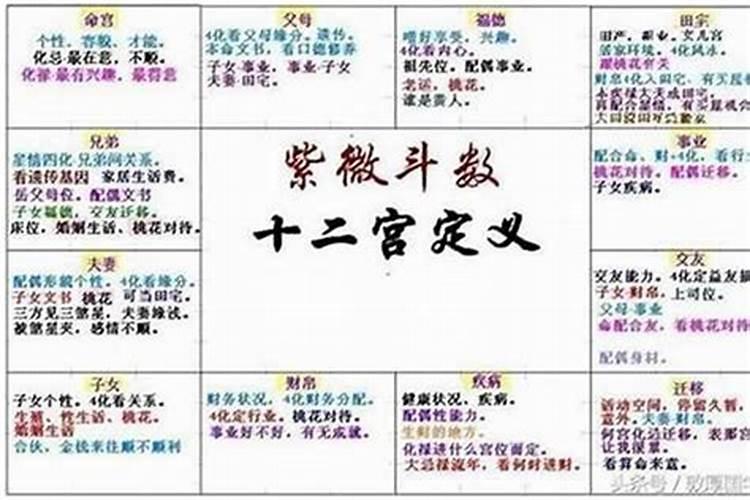 夫妻宫自化忌多遗憾 配偶占有欲强？
