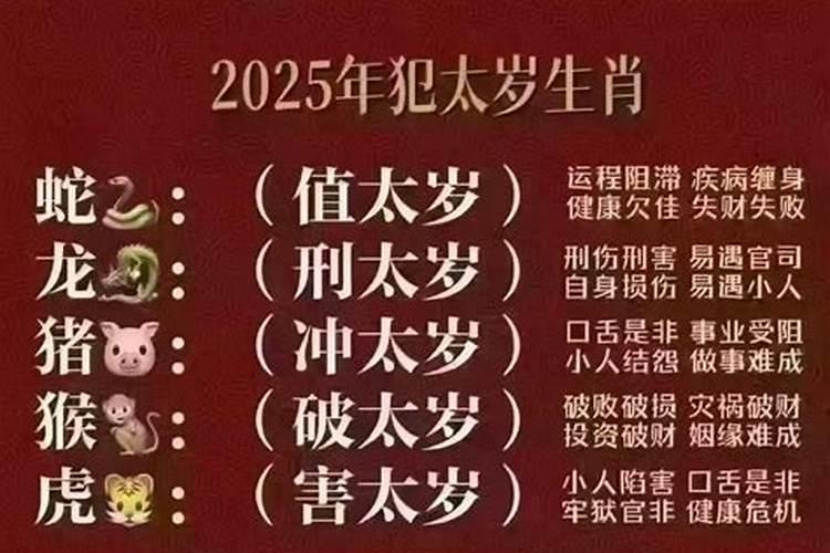 属猪2025年犯太岁怎么化解