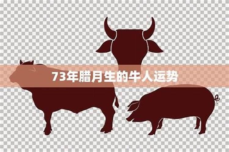 太岁卖给谁