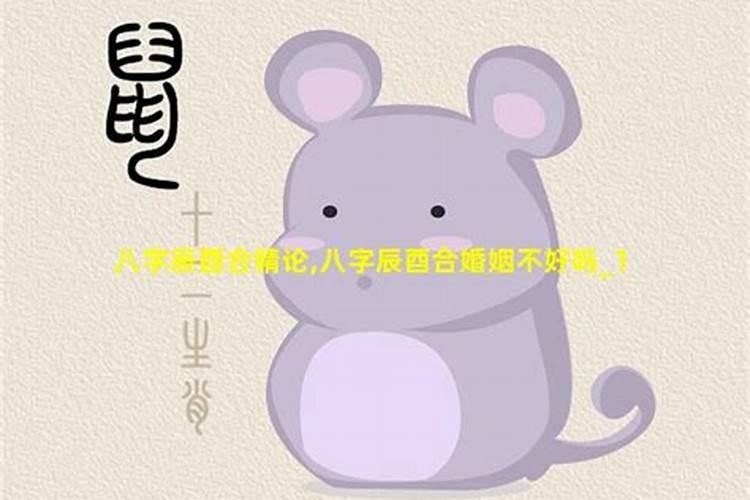 辰酉合是什么意思