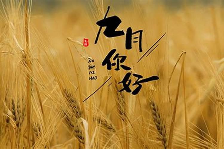 贵州遵义冬天是什么样子的？冷不冷？最冷的时候温度是多少度？什么时候开 ...