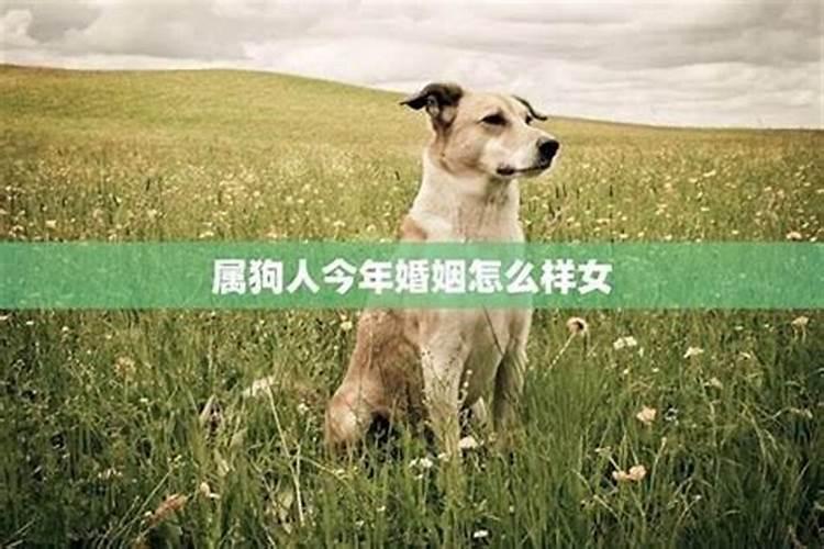 2025属蛇犯太岁注意什么