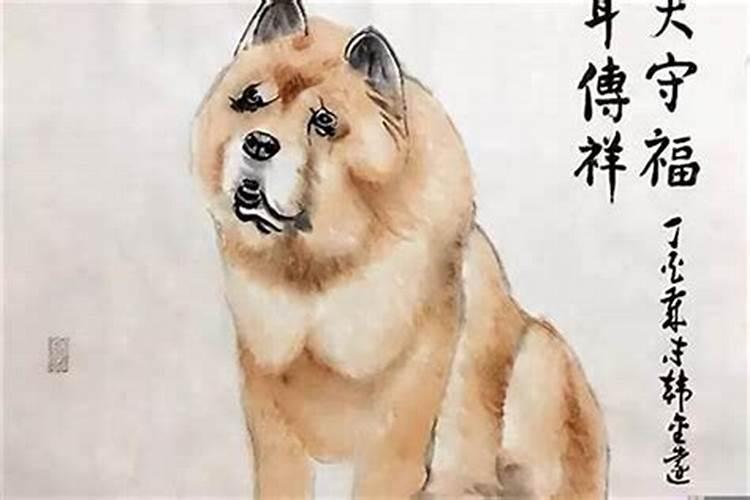 农历1995年11月19日属猪人的婚姻与命运