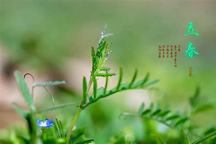 破月是什么意思？