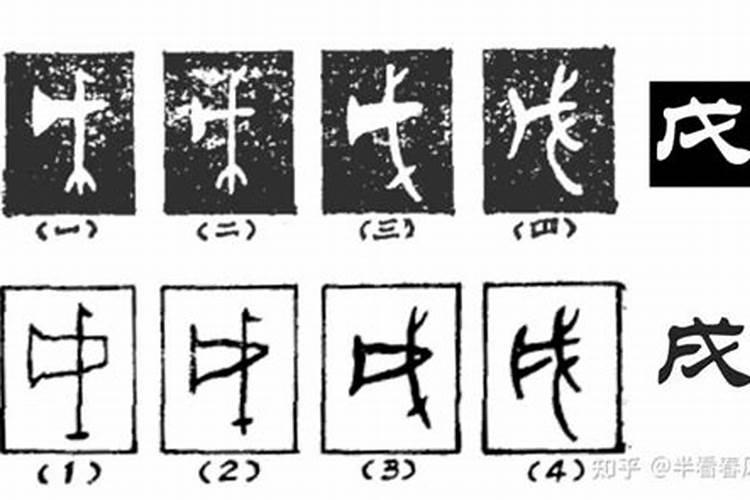 戌、戍、戊怎么读？