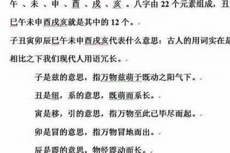 戌念什么