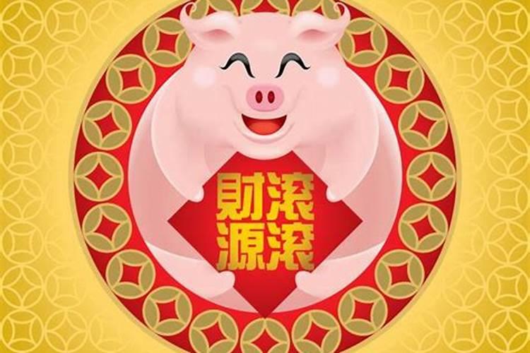 属猪本周运势