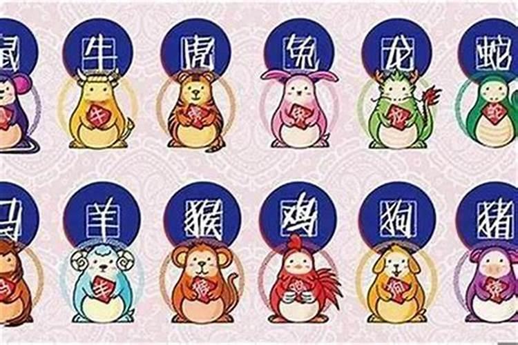 属鼠犯太岁是什么意思？