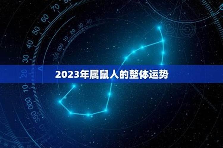 梦见会说话的鸟死了