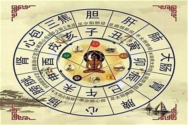 八字地支相合