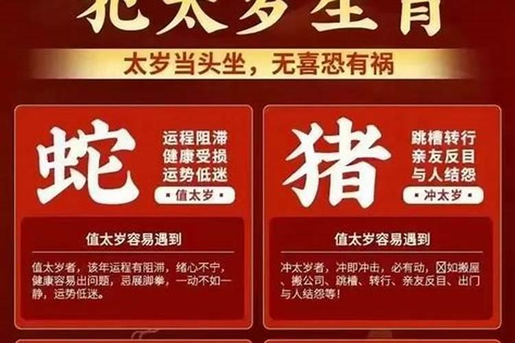 2025年犯太岁的生肖能扫墓吗