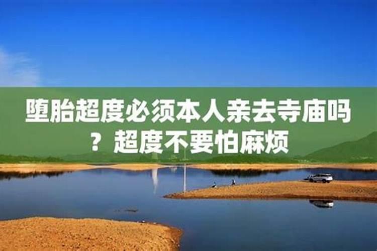 女鼠男羊婚配是否合适