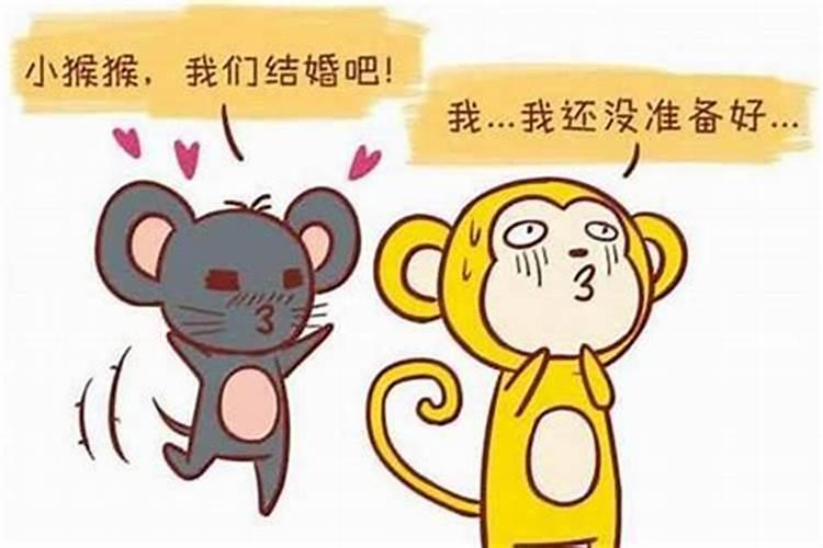 属狗女和属鼠男婚配好吗？