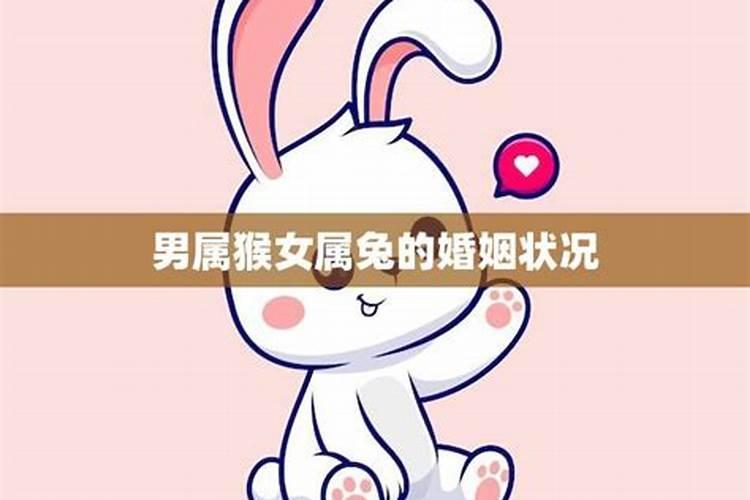 属相婚配:男属猴和女属兔相配吗？