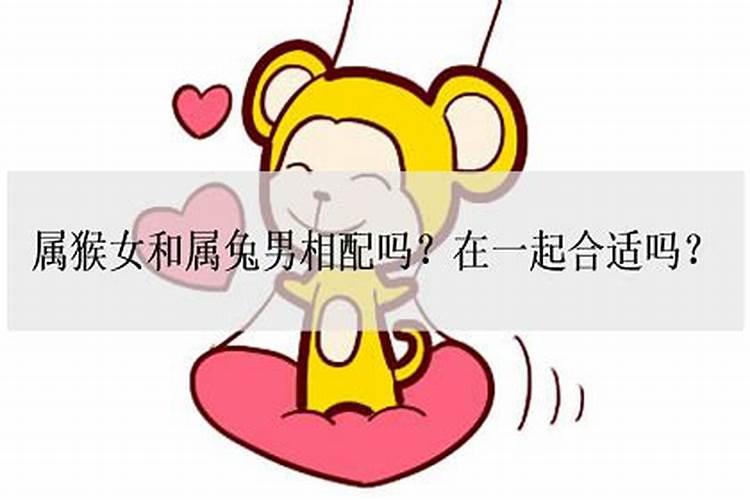 属兔女和属猴男的合不合 属兔女和属猴男相配吗