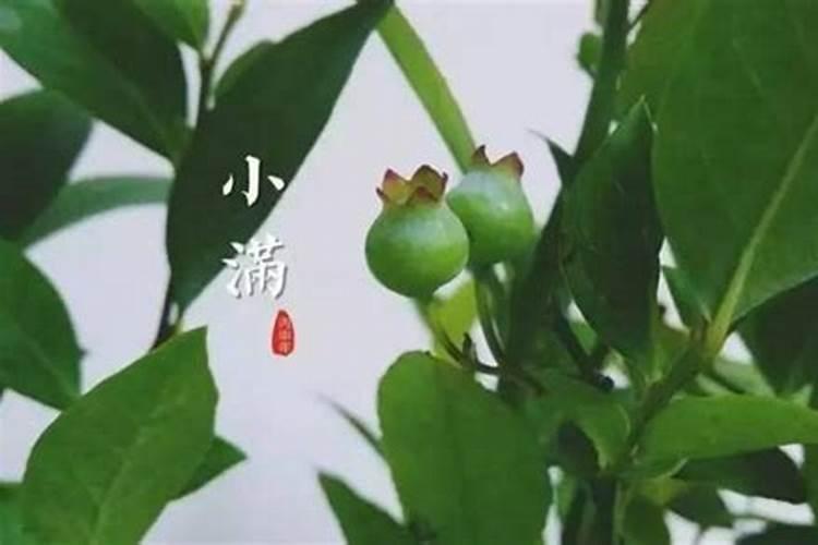 重阳节什么含义 重阳节有什么含义