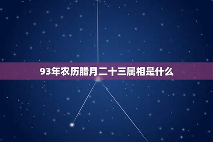 1993年农历十二月初一属什么生肖