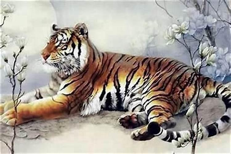 属虎的哪个季节出生好 哪个月是最佳出生月份？