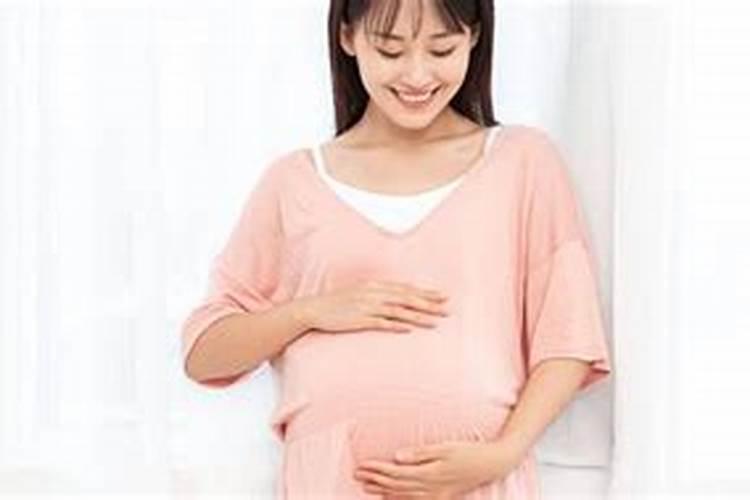 宿松道士是什么意思？