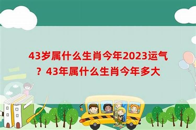 不同年份出生的属蛇男女2024年运程