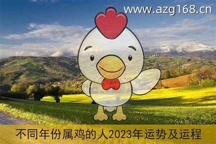 81年属鸡人在2025年的全年运势