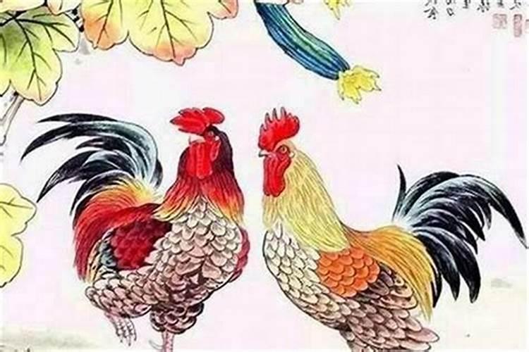 93女鸡95男猪八字合么 属鸡女和属猪男的性格？