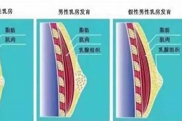 梦见乳房出奶是什么意思