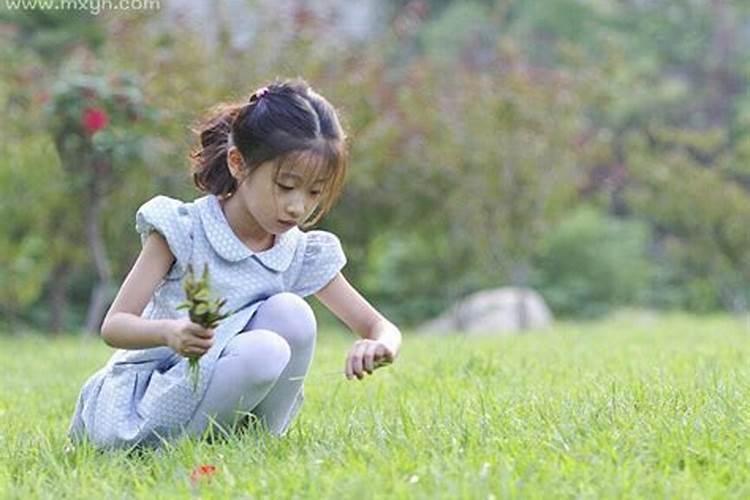 立秋之后都适合种什么菜