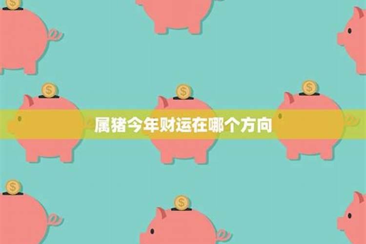 属猪的今天生日今年的运气如果
