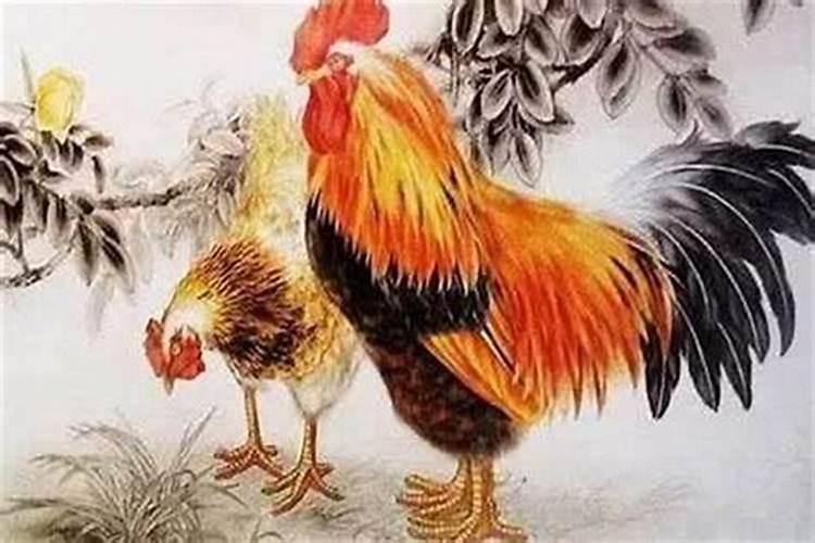 属鸡人配什么属相最旺